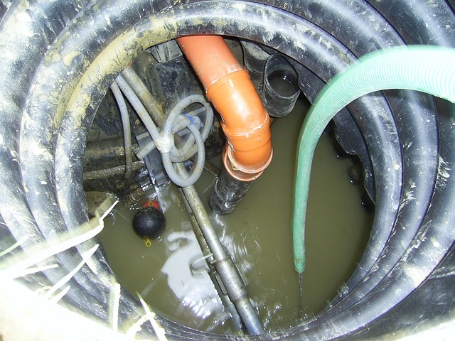 Sewage Damage Cleanup